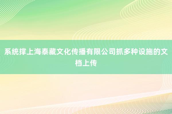 系统撑上海泰藏文化传播有限公司抓多种设施的文档上传