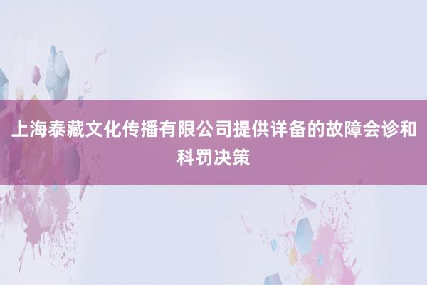 上海泰藏文化传播有限公司提供详备的故障会诊和科罚决策